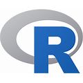 programmer R